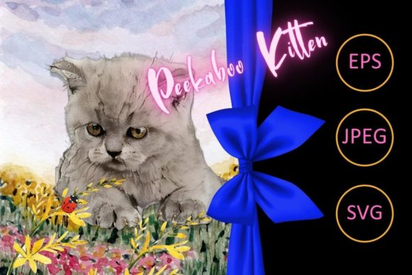 Download Peekaboo Kitten - Peekaboo Collection